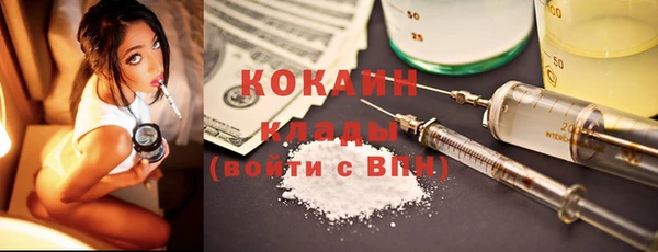 шишки Абаза