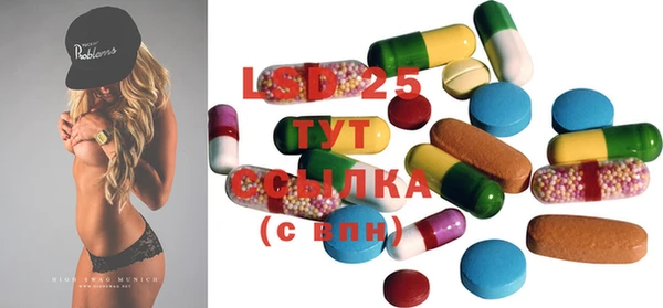 шишки Абаза