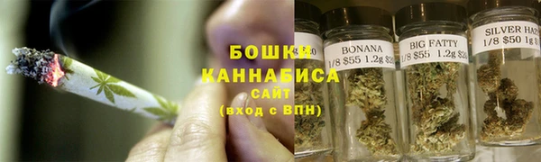 шишки Абаза