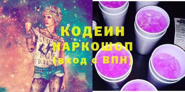 шишки Абаза