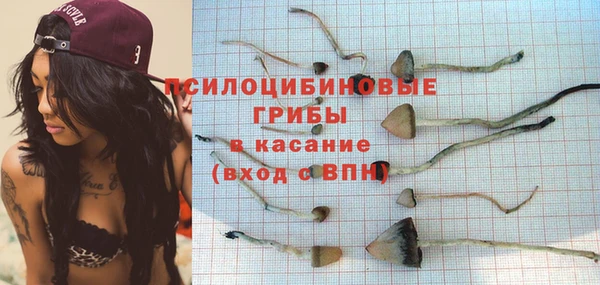 шишки Абаза