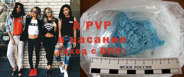 шишки Абаза