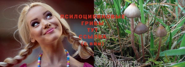 соль ск Абдулино