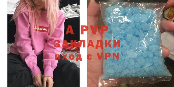 шишки Абаза