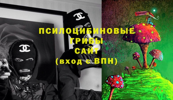 шишки Абаза