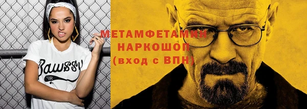 шишки Абаза
