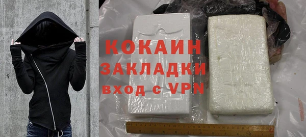 шишки Абаза